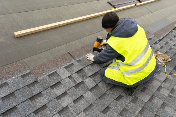 Best Storm Damage Roof Repair  in Lealman, FL