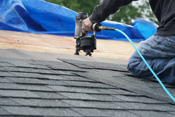 Best Storm Damage Roof Repair  in Lealman, FL