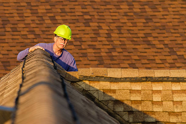 Roof Gutter Cleaning in Lealman, FL